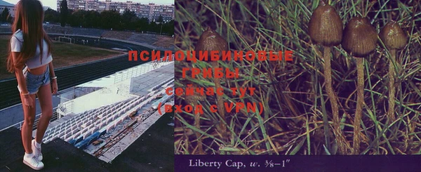 амф Абдулино
