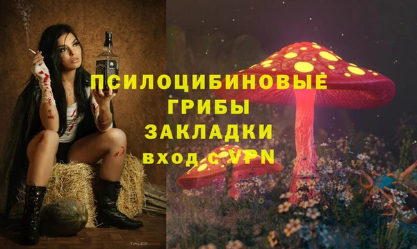 МДПВ Абаза