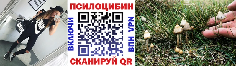 Галлюциногенные грибы Magic Shrooms  Скопин 